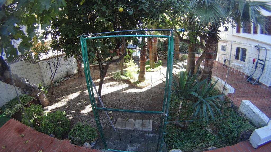 La Mimosa Guesthouse Palma de Mallorca Eksteriør bilde